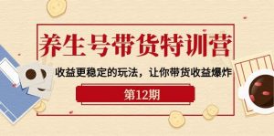 （10110期）养生号带货特训营【12期】收益更稳定的玩法，让你带货收益爆炸-9节直播课-创库88项目资源网