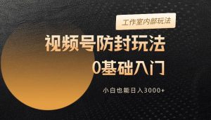 （10107期）2024视频号升级防封玩法，零基础入门，小白也能日入3000+-创库88项目资源网