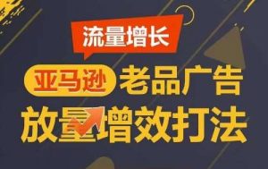 流量增长 亚马逊老品广告放量增效打法,短期内广告销量翻倍-创库88项目资源网