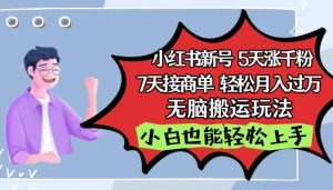 小红书影视泥巴追剧5天涨千粉,7天接商单,轻松月入过万,无脑搬运玩法【揭秘】-创库88项目资源网