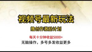 （10087期）视频号最新玩法，每日一小时月入5000+-创库88项目资源网