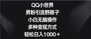 QQ小世界男粉引流野路子，小白无脑操作，多种变现方式轻松日入1000＋-创库88项目资源网