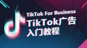 TikTok广告入门教程，从0到1掌握TikTok投放的全流程-创库88项目资源网