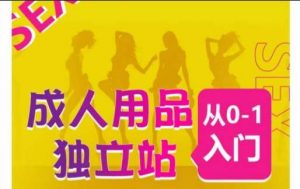 成人用品独立站从0-1入门，成品独立站运营全流程教学，七大好卖成品独立站推荐-创库88项目资源网