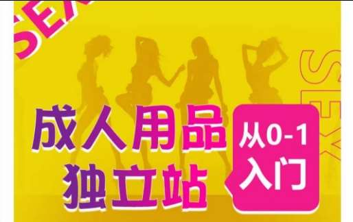 成人用品独立站从0-1入门,成品独立站运营全流程教学,七大好卖成品独立站推荐-创库88项目资源网