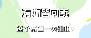 万物皆可卖，小红书这个赛道不容忽视，实操一天300！-创库88项目资源网