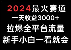 2024最火赛道，一天收一3000+.拉爆全平台流量，新手小白一看就会-创库88项目资源网