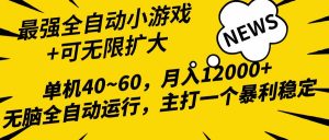 （10046期）2024最新全网独家小游戏全自动，单机40~60,稳定躺赚，小白都能月入过万-创库88项目资源网