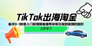 （10035期）TikTok-出海淘金，新手0-1快速入门短视频直播带货等引流到变现的知识-创库88项目资源网