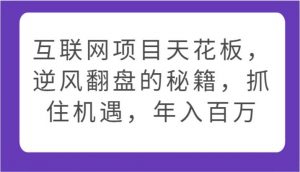互联网项目天花板，逆风翻盘的秘籍，抓住机遇，年入百万-创库88项目资源网