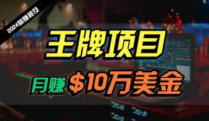 王牌项目月入10W美金，2024最新国外挂机撸U项目，全程无人值守，可批量放大！-创库88项目资源网