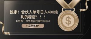 （10028期）合伙人广告撸金最新玩法，每天单号400纯利-创库88项目资源网