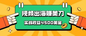 国内爆款视频出海赚美刀，实战收益4500美金，批量无脑搬运，无需经验直接上手-创库88项目资源网