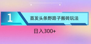 ai头条掘金野路子搬砖玩法，小白轻松上手，日入300+-创库88项目资源网