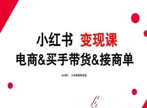 2024年最新小红书变现课，电商&买手带货&接商单，从0到1，小白高效轻创业-创库88项目资源网