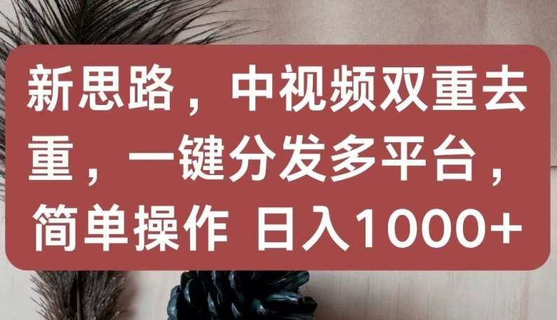 新思路，中视频双重去重，一键分发多平台，简单操作，日入1000+【揭秘】-创库88项目资源网