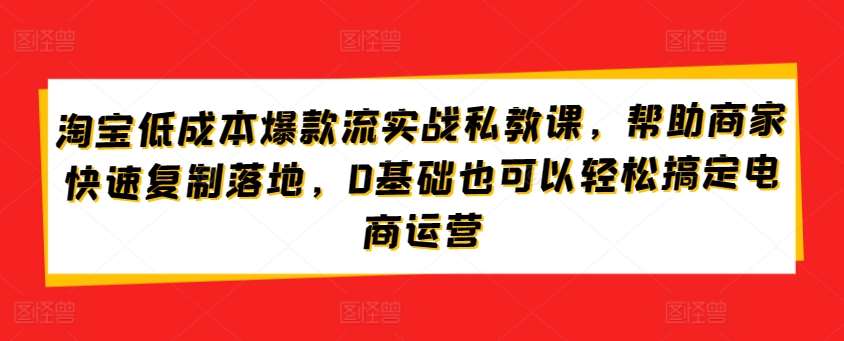 淘宝低成本爆款流实战私教课，帮助商家快速复制落地，0基础也可以轻松搞定电商运营-创库88项目资源网