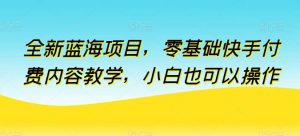 全新蓝海项目，零基础快手付费内容教学，小白也可以操作【揭秘】-创库88项目资源网