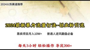 （10151期）2024年最新暴力流量打法，每日导入300+，靠卖项目月入10W+-创库88项目资源网