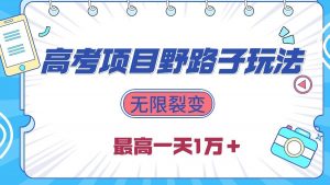 （10150期）2024高考项目野路子玩法，无限裂变，最高一天1W＋！-创库88项目资源网