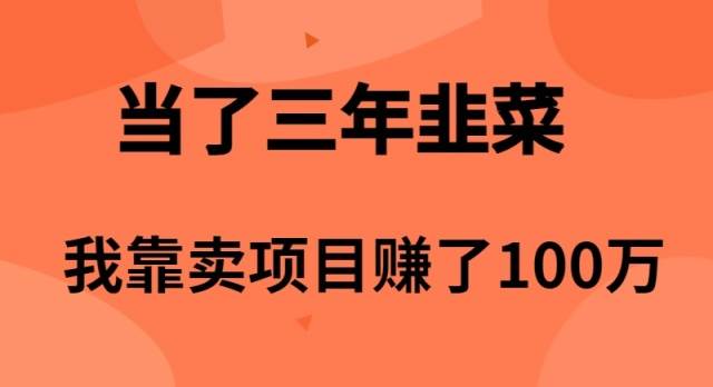 (10149期)当了3年韭菜,我靠卖项目赚了100万-创库88项目资源网