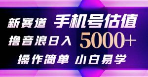 （10154期）抖音不出境直播【手机号估值】最新撸音浪，日入5000+，简单易学，适合…-创库88项目资源网