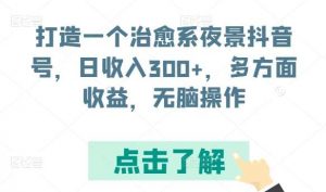 打造一个治愈系夜景抖音号，日收入300+，多方面收益，无脑操作【揭秘】-创库88项目资源网