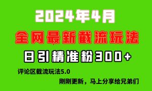 （10179期）刚刚研究的最新评论区截留玩法，日引流突破300+，颠覆以往垃圾玩法，比…-创库88项目资源网
