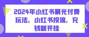 2024年小红书聚光付费玩法，小红书投流，充钱就开挂-创库88项目资源网