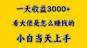 一天赚3000多，大佬是这样赚到钱的，小白当天上手，穷人翻身项目-创库88项目资源网
