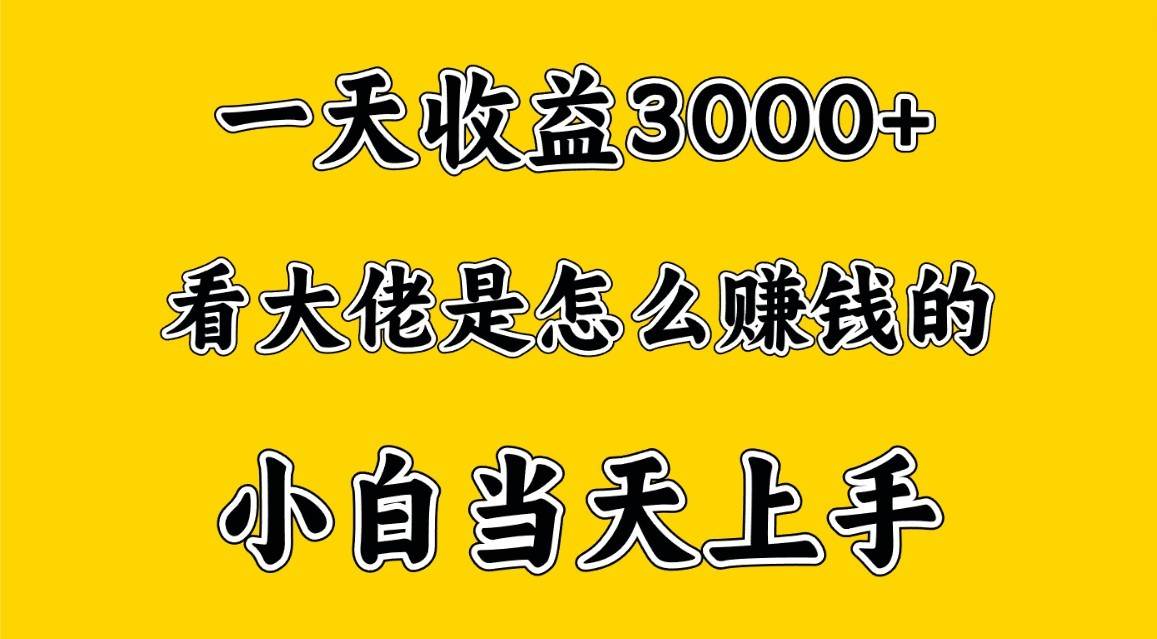 一天赚3000多，大佬是这样赚到钱的，小白当天上手，穷人翻身项目-创库88项目资源网