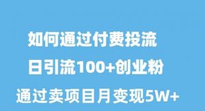 （10189期）如何通过付费投流日引流100+创业粉月变现5W+-创库88项目资源网