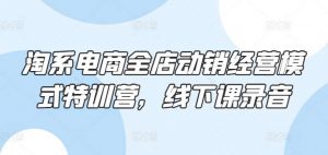 淘系电商全店动销经营模式特训营，线下课录音-创库88项目资源网