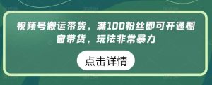 视频号搬运带货，满100粉丝即可开通橱窗带货，玩法非常暴力【揭秘】-创库88项目资源网