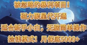 （10245期）被忽略的暴利项目！磁力聚星代开通捡钱模式，轻松月入五六千-创库88项目资源网