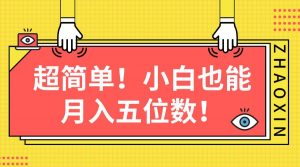 （10257期）超简单图文项目！小白也能月入五位数-创库88项目资源网