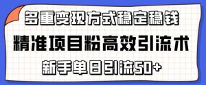 精准项目粉高效引流术，新手单日引流50+，多重变现方式稳定赚钱【揭秘】-创库88项目资源网