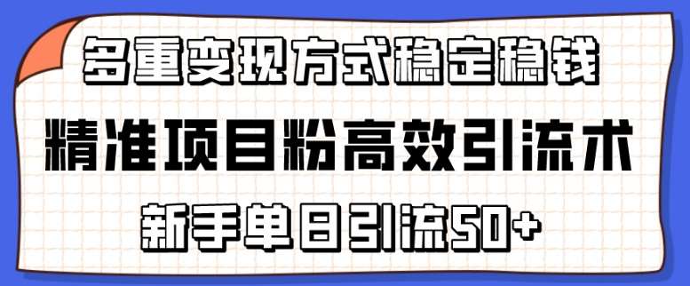 精准项目粉高效引流术，新手单日引流50+，多重变现方式稳定赚钱【揭秘】-创库88项目资源网