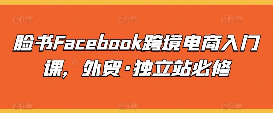 脸书Facebook跨境电商入门课，外贸·独立站必修-创库88项目资源网