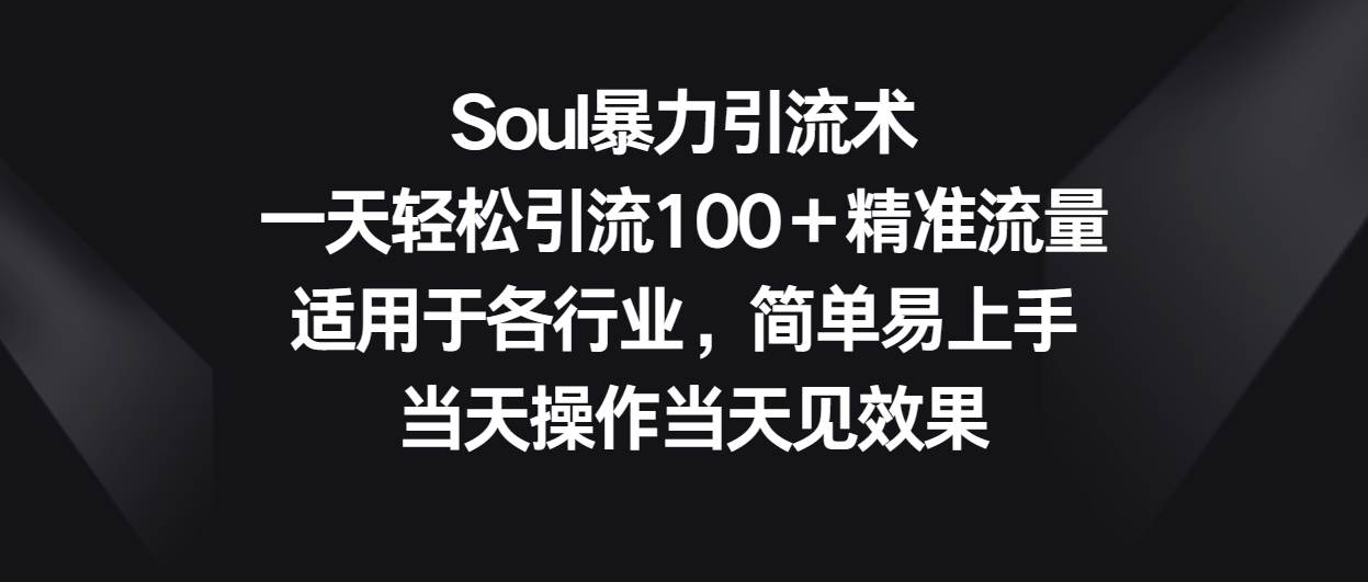 Soul暴力引流术，一天轻松引流100＋精准流量，适用于各行业，简单易上手！-创库88项目资源网