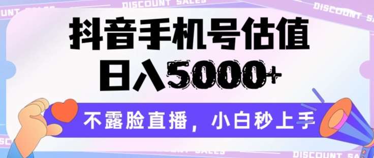 抖音手机号估值，日入5000+，不露脸直播，小白秒上手【揭秘】-创库88项目资源网