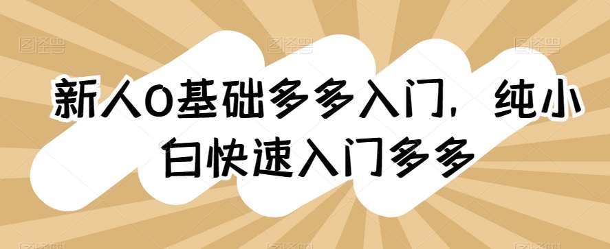 新人0基础多多入门，​纯小白快速入门多多-创库88项目资源网