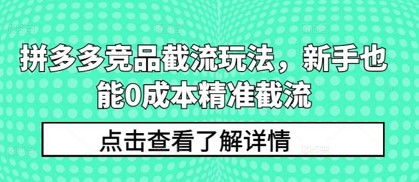 拼多多竞品截流玩法，新手也能0成本精准截流-创库88项目资源网