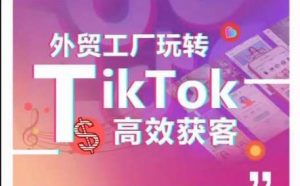 外贸工厂玩转TikTok高效获客，多种引流方式与账号定位技巧，拆解爆款短视频打造成功案例-创库88项目资源网