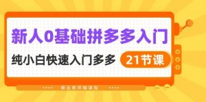 （10299期）新人0基础拼多多入门，​纯小白快速入门多多（21节课）-创库88项目资源网
