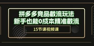 （10301期）拼多多竞品截流玩法，新手也能0成本精准截流（15节课）-创库88项目资源网