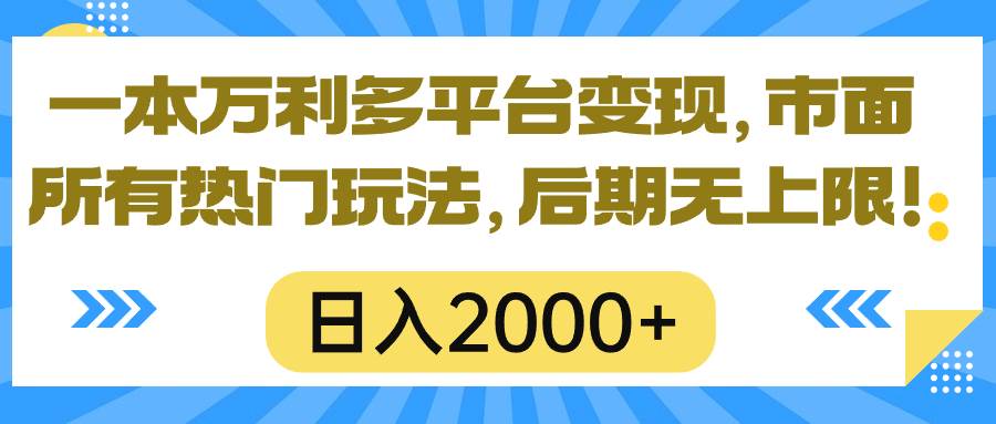 （10311期）一本万利多平台变现，市面所有热门玩法，日入2000+，后期无上限！-创库88项目资源网