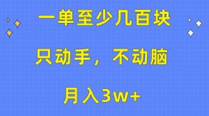 （10356期）一单至少几百块，只动手不动脑，月入3w+。看完就能上手，保姆级教程-创库88项目资源网