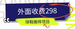 外面收费298的得物球鞋搬砖项目详细拆解教程-创库88项目资源网