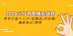 （10376期）2024小红书电商实战营，养号打造IP/选爆品/开店铺/爆款笔记/等等（24节）-创库88项目资源网